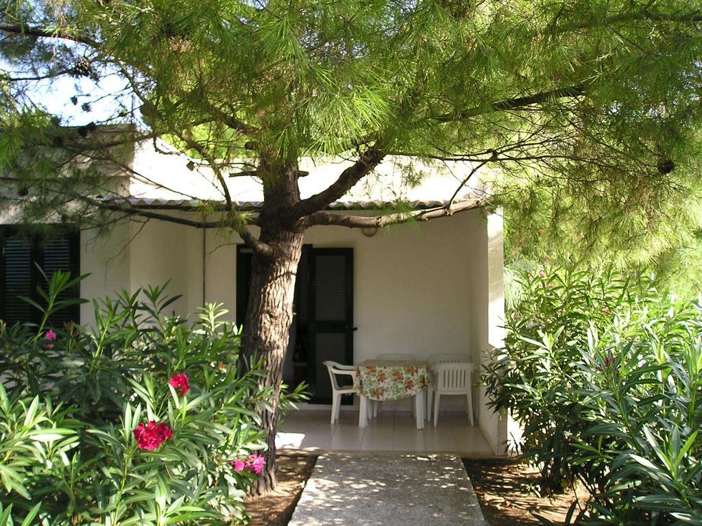 Villaggio Sabbiadoro Vieste Rum bild