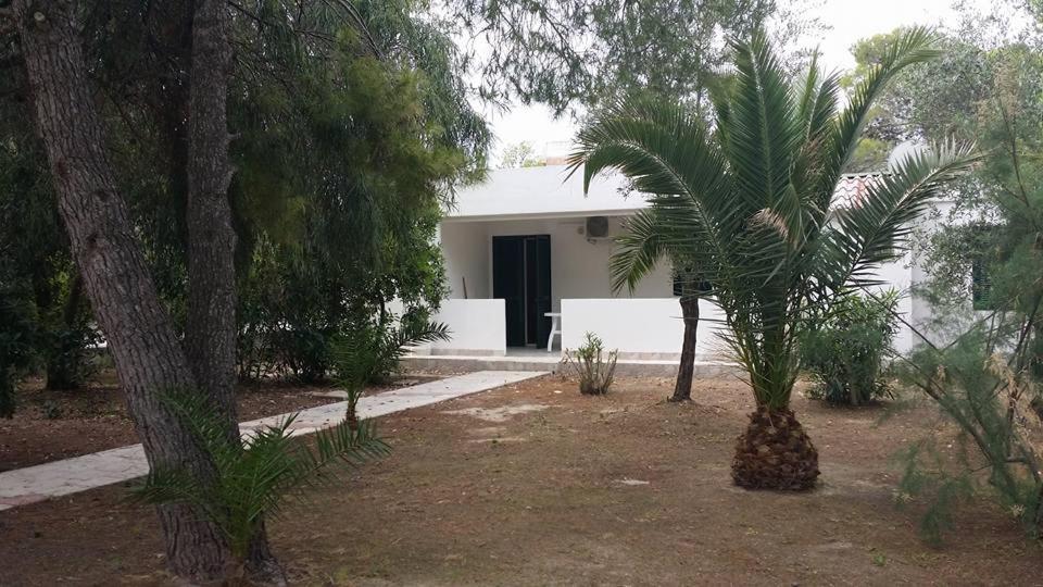 Villaggio Sabbiadoro Vieste Rum bild