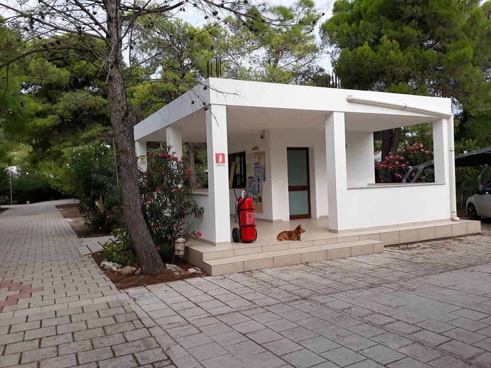 Villaggio Sabbiadoro Vieste Exteriör bild