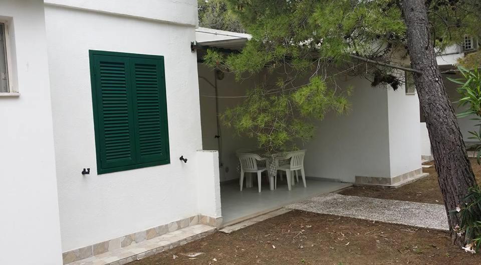 Villaggio Sabbiadoro Vieste Exteriör bild